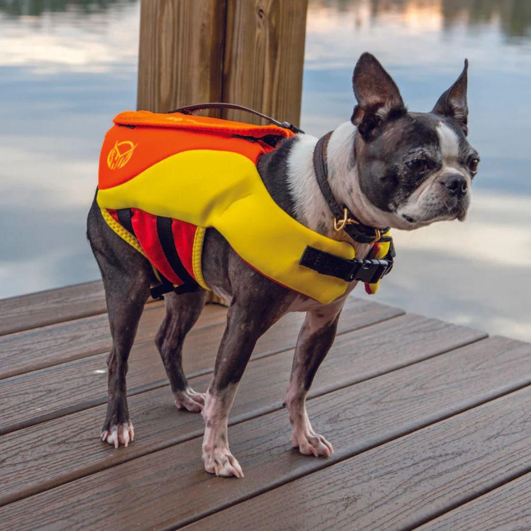 HO Sports Sage Neo Dog Vest - Small